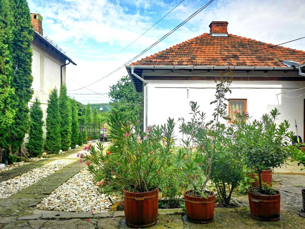 Casa Petrescu Villa Curtea de Argeş Eksteriør bilde
