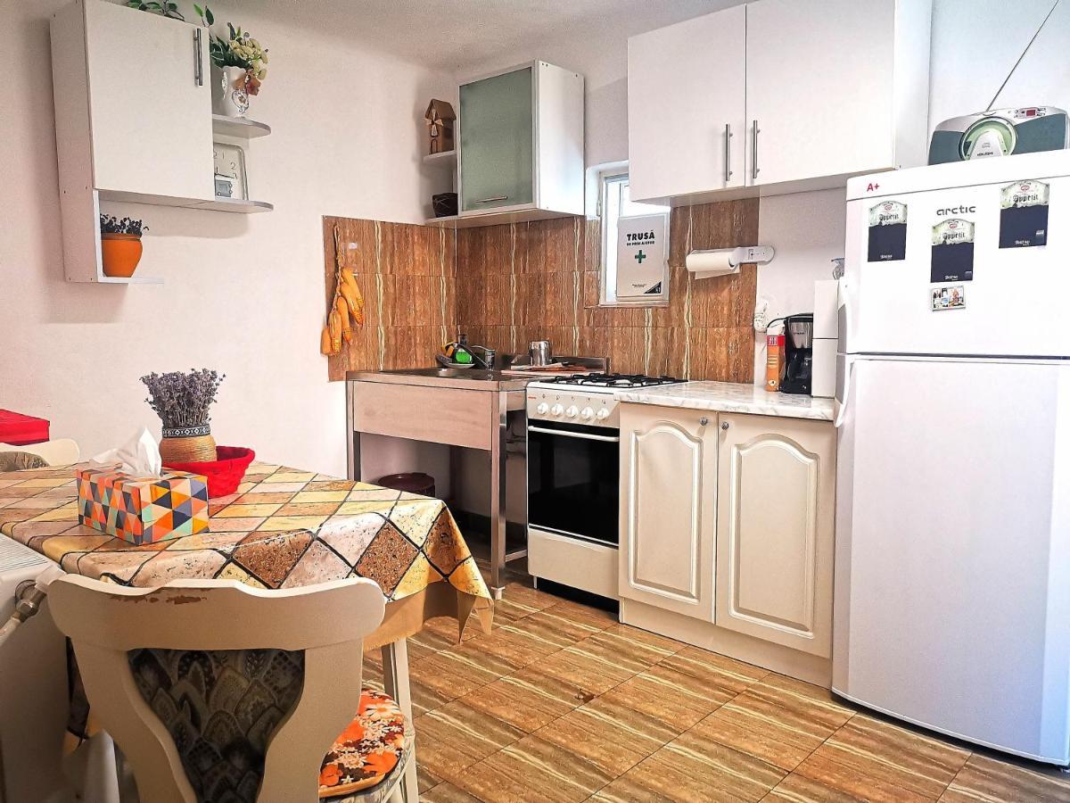 Casa Petrescu Villa Curtea de Argeş Eksteriør bilde